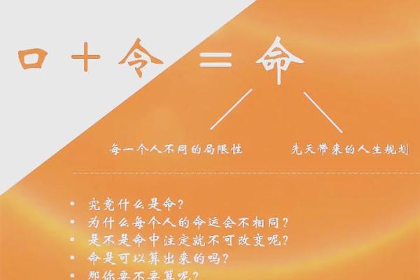 乾命与坤命一等婚：探讨命理与婚姻的独特关系