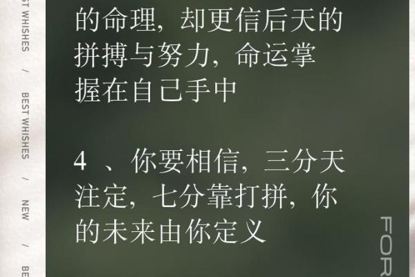 探究女命三两九命的奥秘与意义