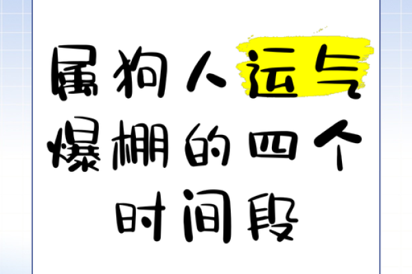 1970年属狗人的命运与性格解析：开启新的生活篇章