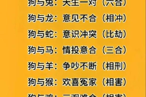属狗申时出生者的命运分析：如何与命理相辅相成？