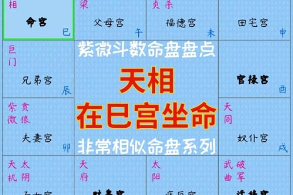 了解2000农历6月出生的命理特征与人生智慧