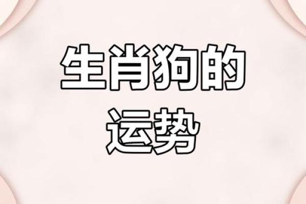 1948年属狗人的命运及性格分析：机遇与挑战并存！