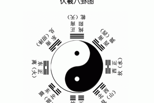 艮巳命的人特征：独立坚韧，追求真理与自我价值的探索者