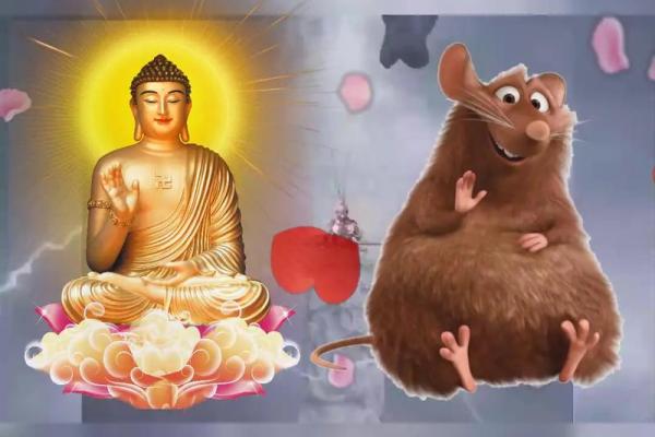 1984年鼠年8月出生的人命运解析：追寻生命之旅的辉煌和挑战