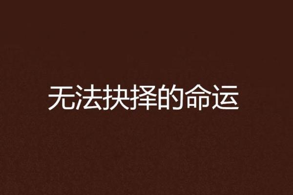 探索《仙命》和《亡命》：命运与选择的边缘之旅