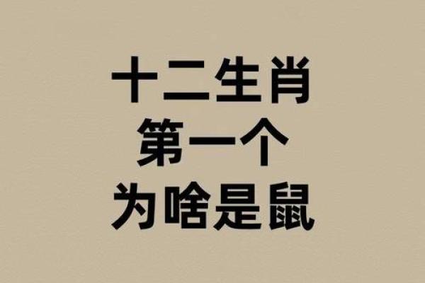 1996年男鼠的命运与性格解读：探秘鼠年的魅力