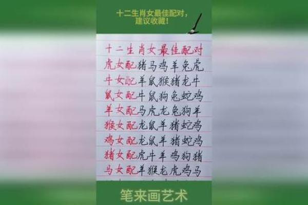 揭秘土蛇命女的最佳配对，找到心灵的港湾！