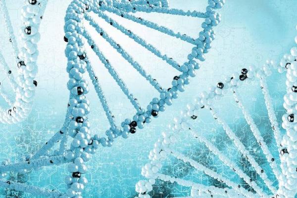 探秘DNA与命运的千丝万缕：科学与人生的交织