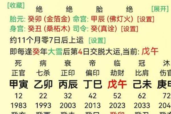 命格分析：身偏强火命的深刻内涵与人生智慧