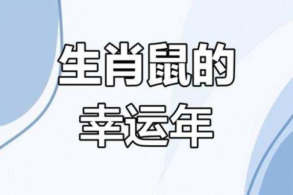 2008年属鼠命运解析：智慧与机遇并存的生肖之旅