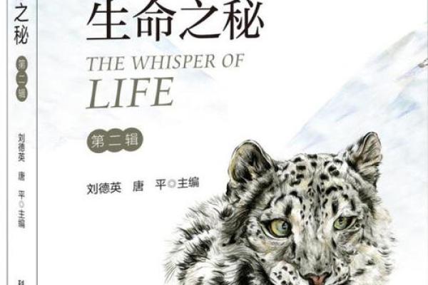 探秘命理学：揭示生命轨迹的神秘艺术与科学