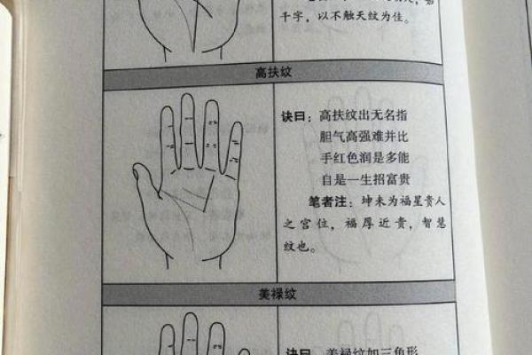 手掌解析：看手相揭示你的命运与个性