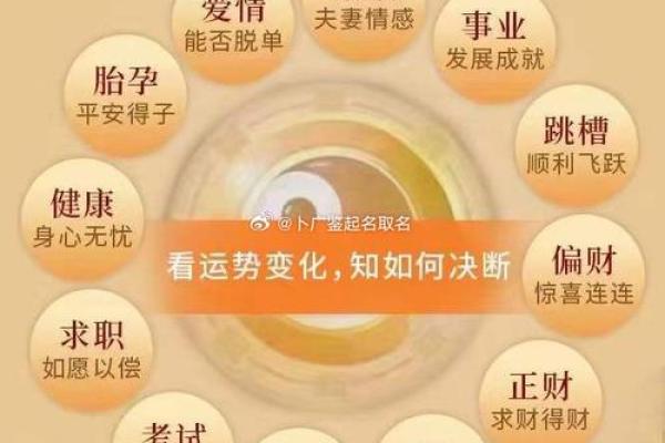 揭开八字命理的神秘面纱，探索命运的奥秘与人生的选择
