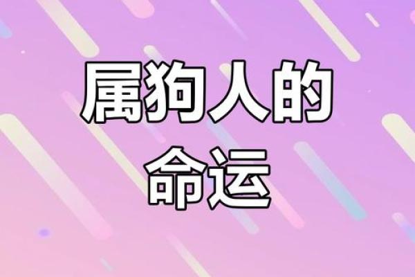 2006年属狗的人命运揭秘：性格特点与发展方向