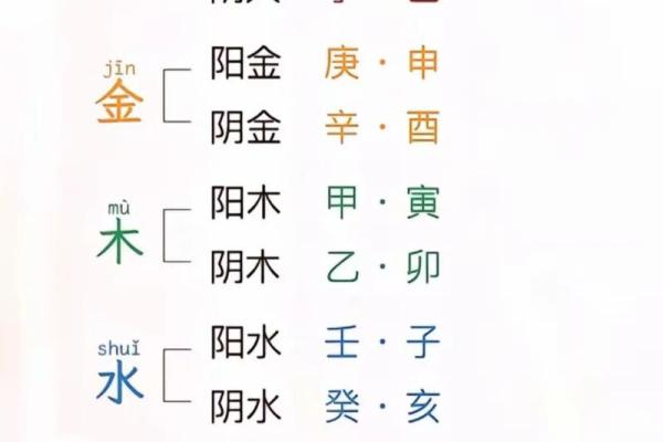 命理启示：生活中的阴阳五行与个人命运的秘密揭示