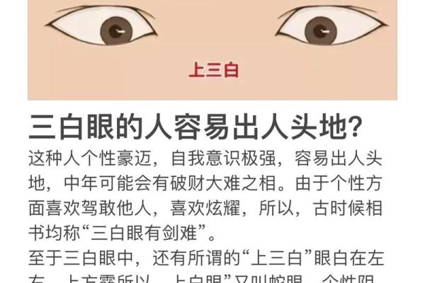 揭示男人面相中的富贵命，如何一眼识别成功者！
