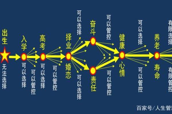 1992年出生的马，命运解析与人生轨迹探寻