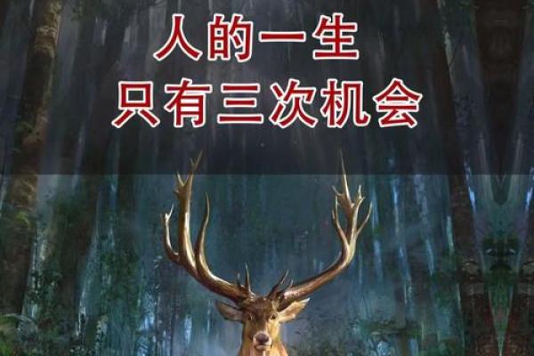 揭秘92年三十岁人的命运与人生选择
