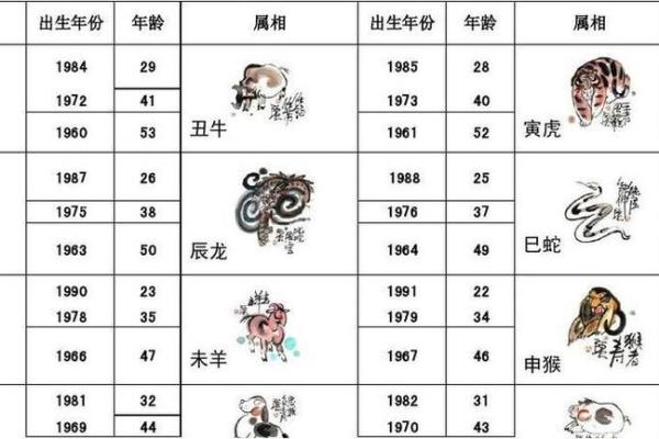 1949年出生者的生肖与命理解析：揭秘人生的精彩之路