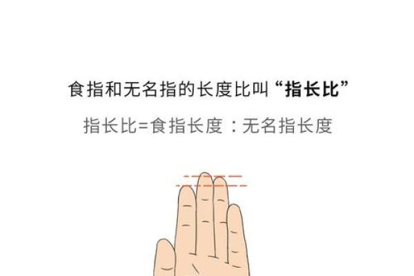 手指长得没有肉，影响命运的神秘解读