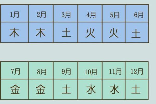 69年女命解析：五行属性与命理运势深度剖析