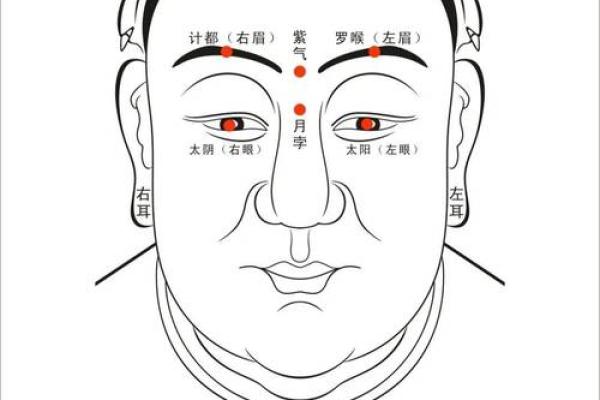 从面相看贪财命理，财富与运势的解读与启示