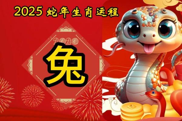 明年黑兔年：解密兔年命运与五行特点的神秘之旅