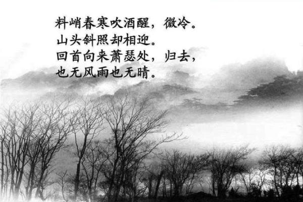 秋夜月华：命格之美与人生启示