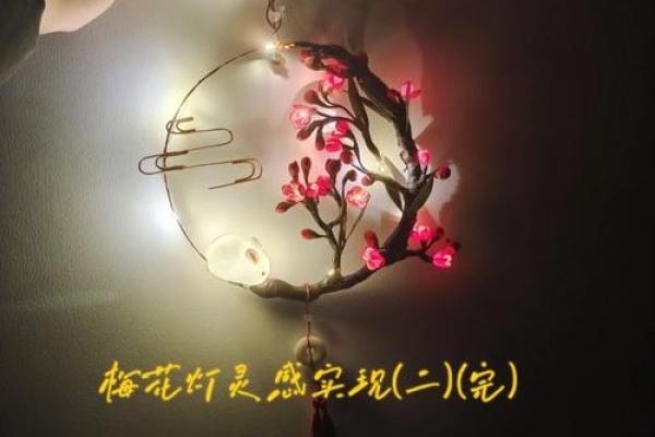 揭开上上签梅花命的神秘面纱，探索你的命运之路！