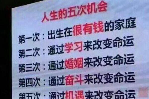 厂长的女儿：命运的多重选择与人生的精彩旅程