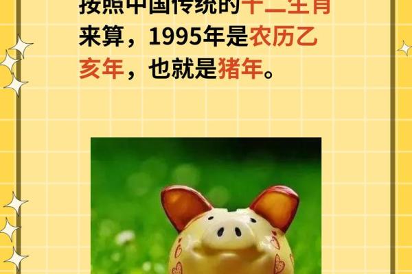 1995年属猪男的命运与个性解析，助你了解他的一生轨迹！