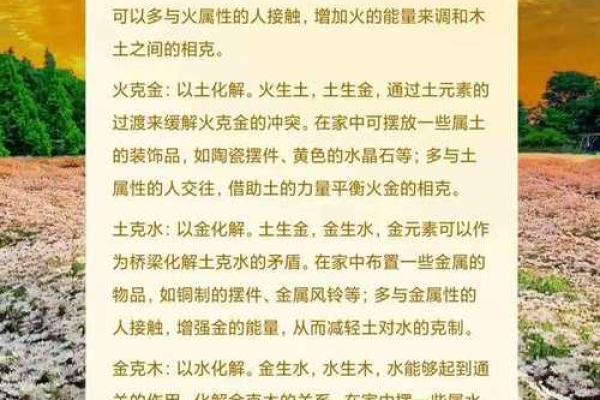五行之土与木命：如何弥补命理缺失，修复人生之道