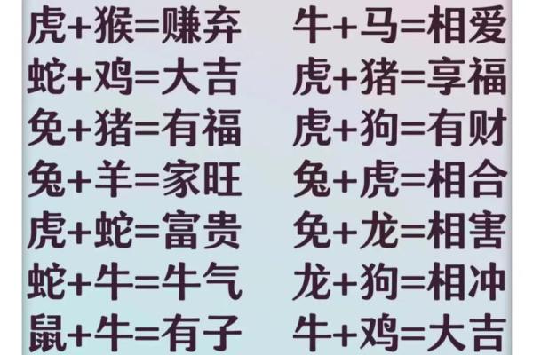 91年出生的生肖兔和89年出生的生肖蛇，命运解析与人生智慧