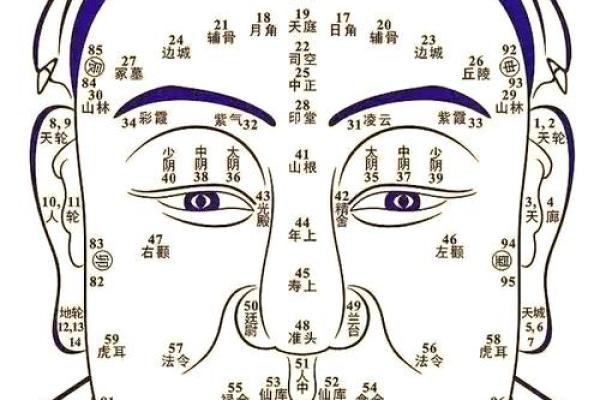 高颧骨面相解析：揭示命运背后的秘密与潜力