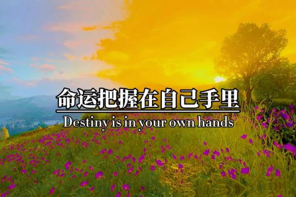 命运在我手中，我要创造自己的未来