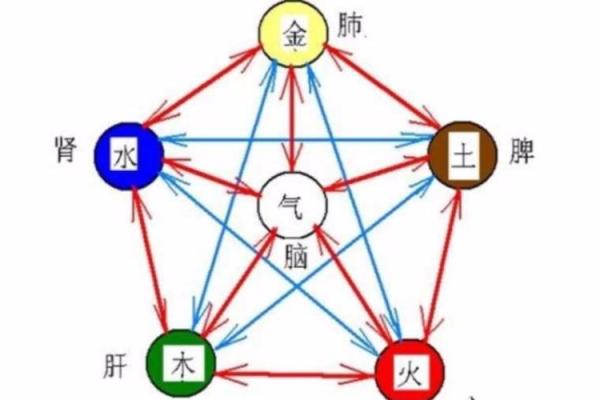 大林木命蛇与水命的完美融合：探寻最佳搭配之道