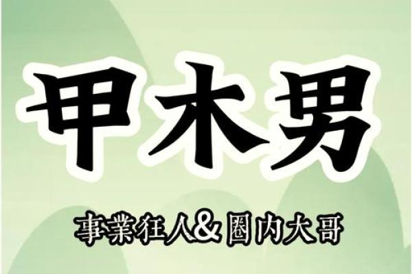 甲木命代表的生肖与其性格特征解析