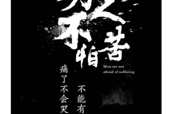 如尘如命：人生的脆弱与坚韧之辩
