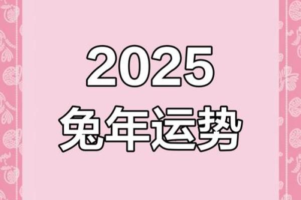 兔子生肖命运解析：探索兔年出生者的隐藏特征与人生轨迹