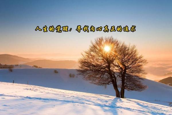 1991年命运与人生：寻找内心的和谐与平衡之旅