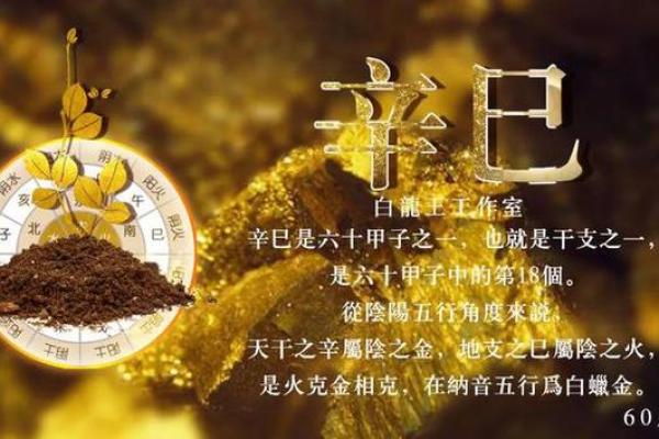 探秘金命与绝金:命理中的深意与启示 探秘金命与绝金:命理中的深意与启示
