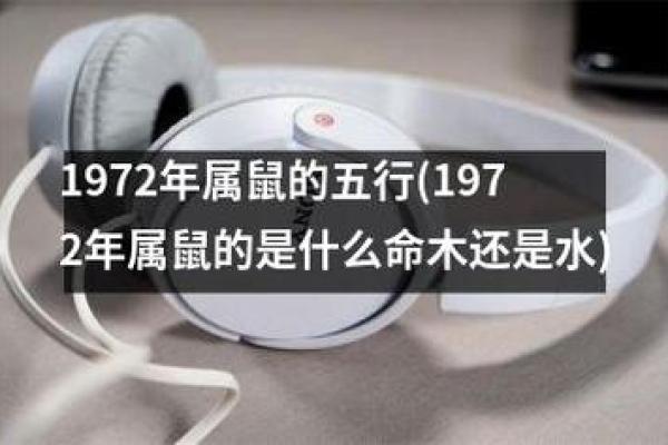 2023年72年鼠的命运与未来发展潜力探讨