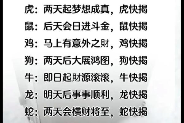 探索2000年男命的生肖特征与人生运势