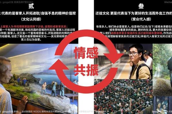 曲中的命运交响：解读《依命抵命》背后的情感与故事