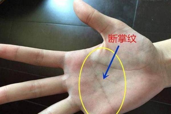女人断掌纹解析：揭示你的命运与性格