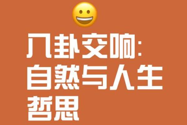 天罗地网入命：探索命运的奥秘与人生的选择