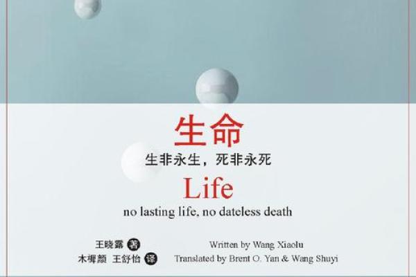 生命的命究竟是什么？揭开生命的神秘面纱！