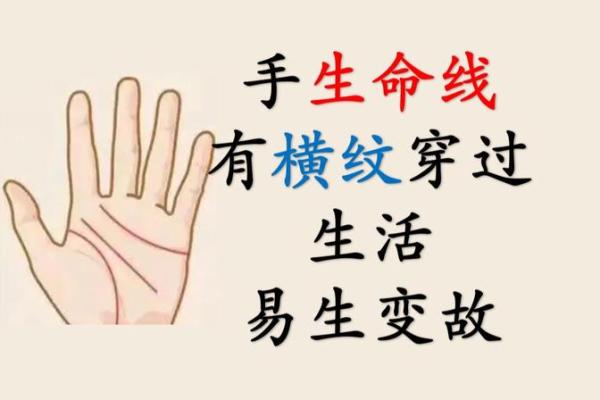 命里有掌纹，揭示你我命运的密码与人生轨迹