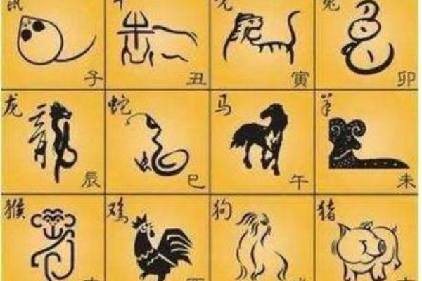 命运的多样性：探索“命什么多什么”的成语世界
