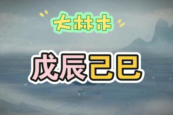 探秘戊辰大林木命：缺什么？命理解码与生活启示